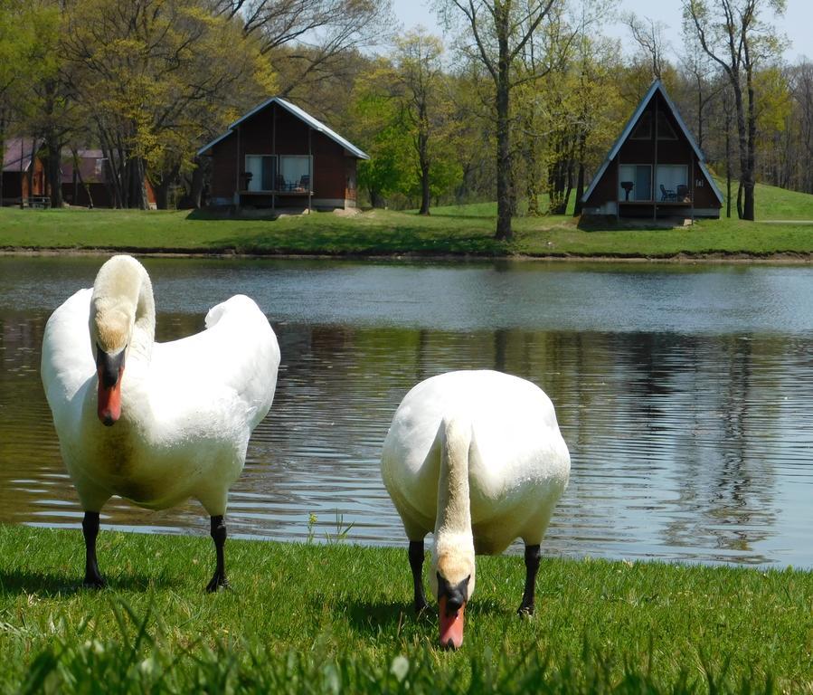 فندق Springfieldفي  Serenity Springs - Michigan City المظهر الخارجي الصورة