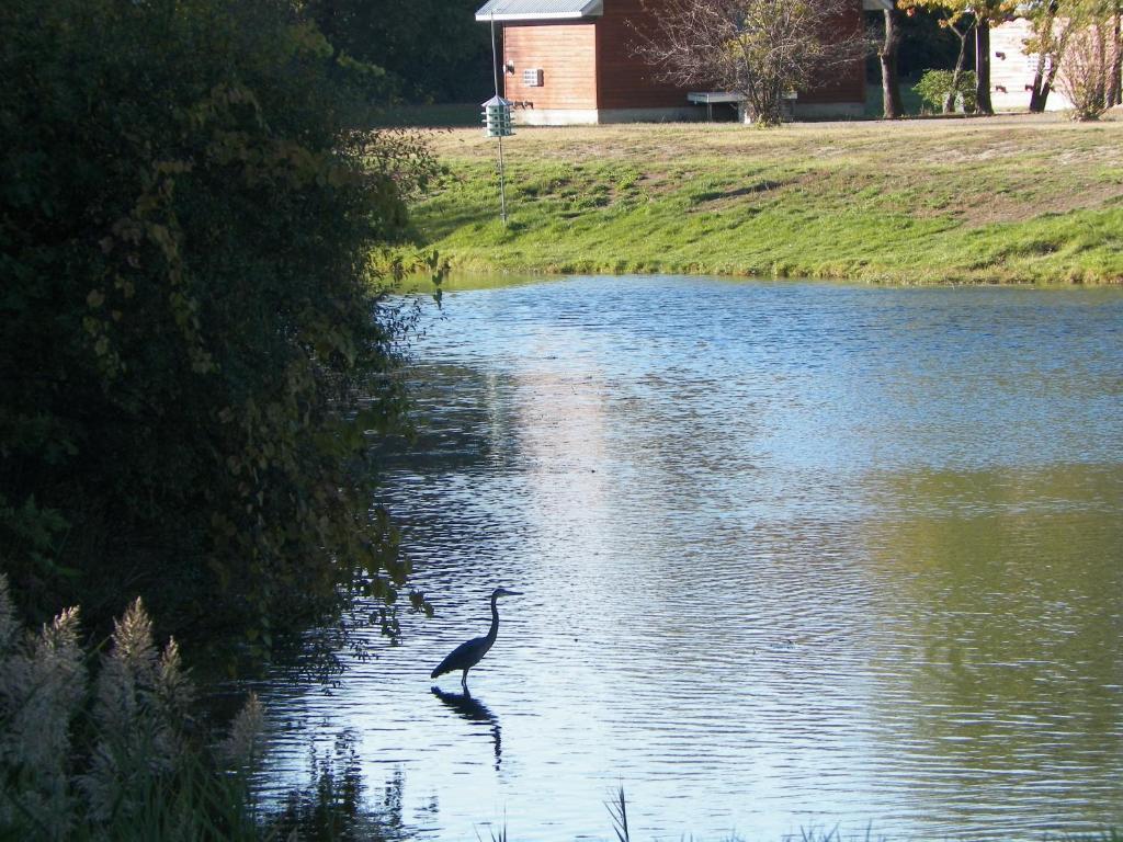 فندق Springfieldفي  Serenity Springs - Michigan City المظهر الخارجي الصورة
