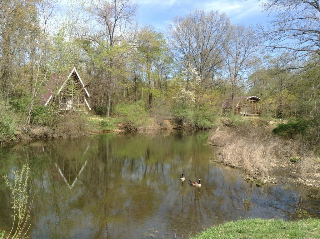 فندق Springfieldفي  Serenity Springs - Michigan City المظهر الخارجي الصورة